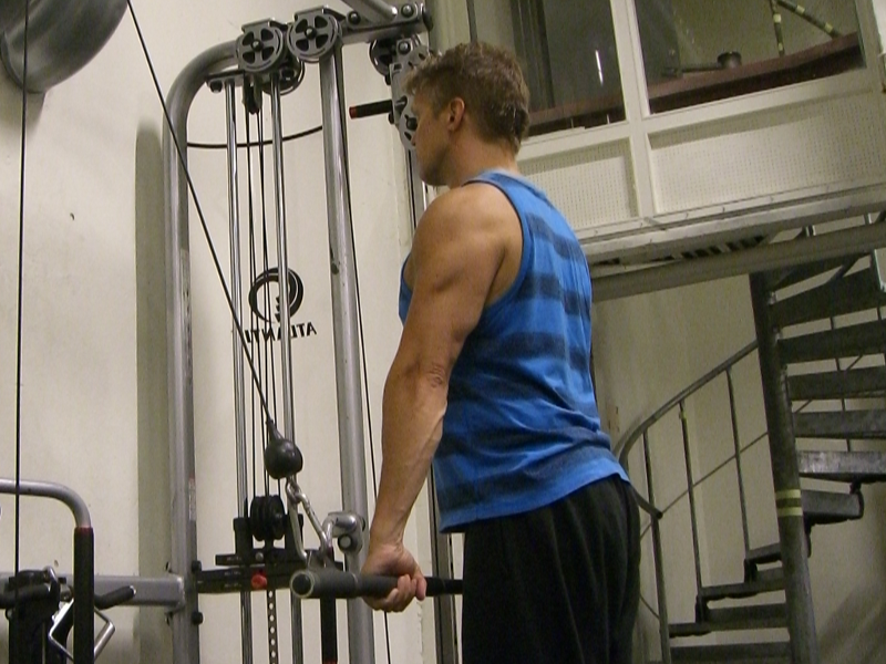 Triceps pushdown, utförande, med stång i kabelmaskin. Slut